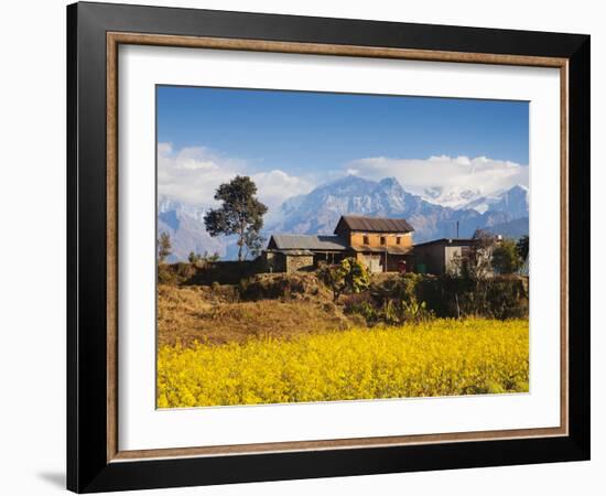 Mustard Fields with the Annapurna Range of the Himalayas in the Background, Gandaki, Nepal, Asia-Mark Chivers-Framed Photographic Print