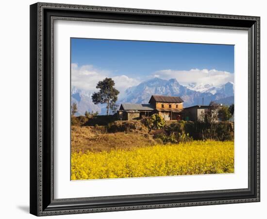 Mustard Fields with the Annapurna Range of the Himalayas in the Background, Gandaki, Nepal, Asia-Mark Chivers-Framed Photographic Print