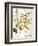 Mustard Plant, 1613-Besler Basilius-Framed Giclee Print