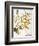 Mustard Plant, 1613-Besler Basilius-Framed Giclee Print