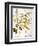 Mustard Plant, 1613-Besler Basilius-Framed Giclee Print