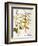 Mustard Plant, 1613-Besler Basilius-Framed Giclee Print