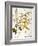 Mustard Plant, 1613-Besler Basilius-Framed Giclee Print