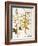 Mustard Plant, 1613-Besler Basilius-Framed Giclee Print