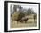 Mustard Plant Harvest, Haridwar, Uttarakhand, India, Asia-null-Framed Photographic Print