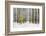 Mustard Tree-Brooke T. Ryan-Framed Photographic Print