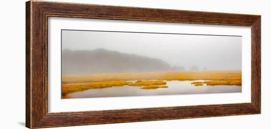 Mustard Yellow Salt Marsh-Brooke T. Ryan-Framed Photographic Print
