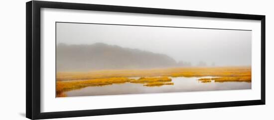 Mustard Yellow Salt Marsh-Brooke T. Ryan-Framed Photographic Print