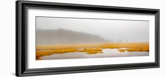 Mustard Yellow Salt Marsh-Brooke T. Ryan-Framed Photographic Print