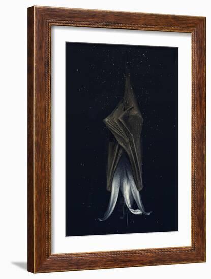 Mutated lily-Johan Lilja-Framed Giclee Print