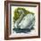 Mute Swan and Chick Cygnus Olor-null-Framed Giclee Print
