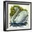 Mute Swan and Chick Cygnus Olor-null-Framed Giclee Print