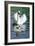 Mute Swan And Cygnets-Georgette Douwma-Framed Photographic Print