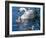 Mute Swan and Young Family-hipproductions-Framed Photographic Print