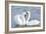 Mute Swan Courtship Display-null-Framed Photographic Print