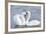 Mute Swan Courtship Display-null-Framed Photographic Print