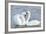 Mute Swan Courtship Display-null-Framed Photographic Print