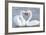 Mute Swan Courtship Display-null-Framed Photographic Print