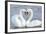 Mute Swan Courtship Display-null-Framed Photographic Print