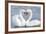 Mute Swan Courtship Display-null-Framed Photographic Print