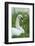 mute swan, Cygnus olor, portrait-David & Micha Sheldon-Framed Photographic Print