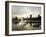 Mute Swan, Lost Lagoon, Stanley Park, British Columbia, Canada-Paul Colangelo-Framed Photographic Print