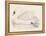 Mute Swan-Reverend Francis O. Morris-Framed Stretched Canvas