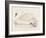 Mute Swan-Reverend Francis O. Morris-Framed Art Print