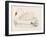 Mute Swan-Reverend Francis O. Morris-Framed Art Print