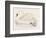 Mute Swan-Reverend Francis O. Morris-Framed Art Print