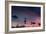 Mute Swans, Cygnus Olor, Swim on Pen Ponds at Sunset in Richmond Park-Alex Saberi-Framed Photographic Print