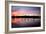 Mute Swans, Cygnus Olor, Swim on Pen Ponds at Sunset in Richmond Park-Alex Saberi-Framed Photographic Print