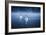 Mute Swans, Cygnus Olor, Swimming in the Morning Mist-Alex Saberi-Framed Photographic Print