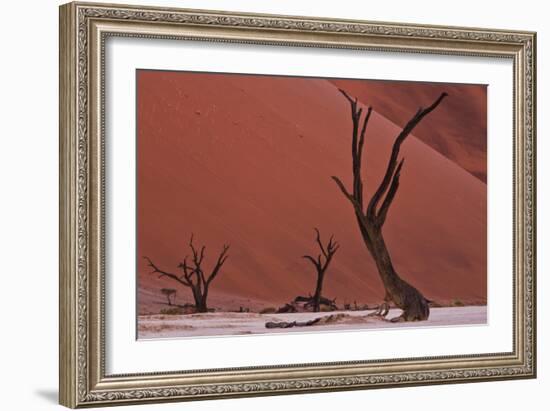 Muted Rust Colored Dunes, Silhouettes Of Dead Acacia Trees Of Deadvlei Pan, Abstract Landscapes-Karine Aigner-Framed Photographic Print