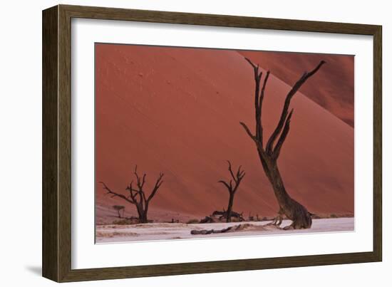 Muted Rust Colored Dunes, Silhouettes Of Dead Acacia Trees Of Deadvlei Pan, Abstract Landscapes-Karine Aigner-Framed Photographic Print