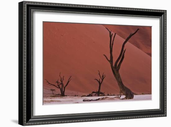 Muted Rust Colored Dunes, Silhouettes Of Dead Acacia Trees Of Deadvlei Pan, Abstract Landscapes-Karine Aigner-Framed Photographic Print