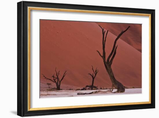 Muted Rust Colored Dunes, Silhouettes Of Dead Acacia Trees Of Deadvlei Pan, Abstract Landscapes-Karine Aigner-Framed Photographic Print