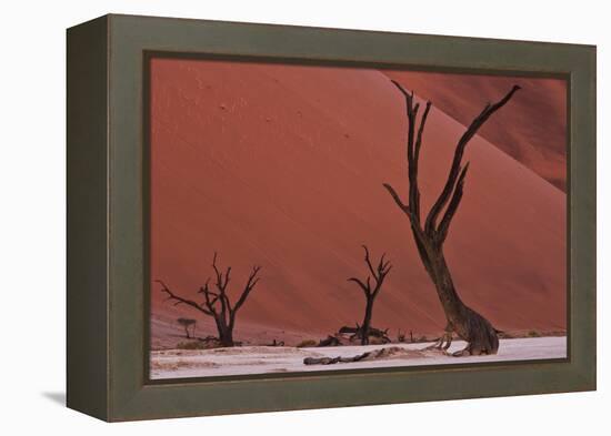 Muted Rust Colored Dunes, Silhouettes Of Dead Acacia Trees Of Deadvlei Pan, Abstract Landscapes-Karine Aigner-Framed Premier Image Canvas