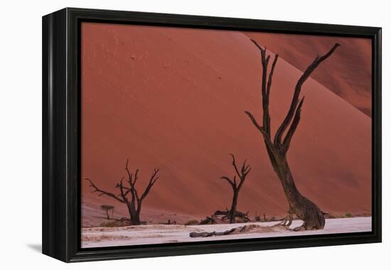 Muted Rust Colored Dunes, Silhouettes Of Dead Acacia Trees Of Deadvlei Pan, Abstract Landscapes-Karine Aigner-Framed Premier Image Canvas