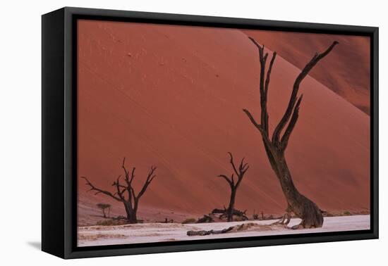 Muted Rust Colored Dunes, Silhouettes Of Dead Acacia Trees Of Deadvlei Pan, Abstract Landscapes-Karine Aigner-Framed Premier Image Canvas