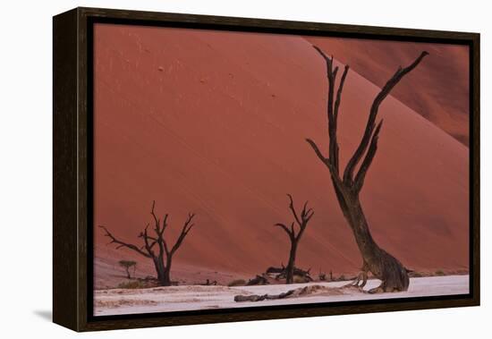 Muted Rust Colored Dunes, Silhouettes Of Dead Acacia Trees Of Deadvlei Pan, Abstract Landscapes-Karine Aigner-Framed Premier Image Canvas