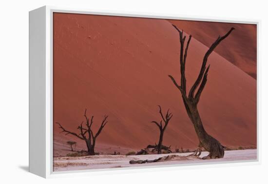 Muted Rust Colored Dunes, Silhouettes Of Dead Acacia Trees Of Deadvlei Pan, Abstract Landscapes-Karine Aigner-Framed Premier Image Canvas