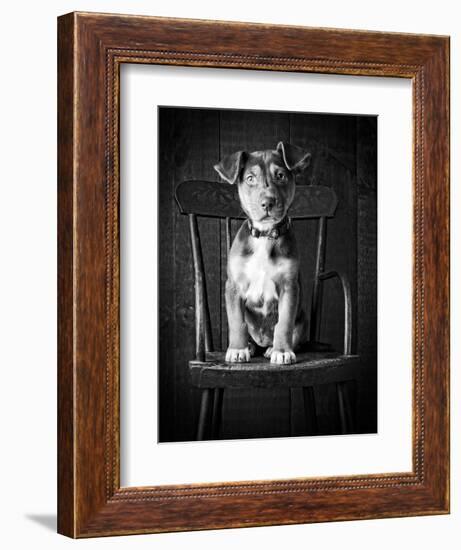 Mutt Black & White-Edward M. Fielding-Framed Photographic Print