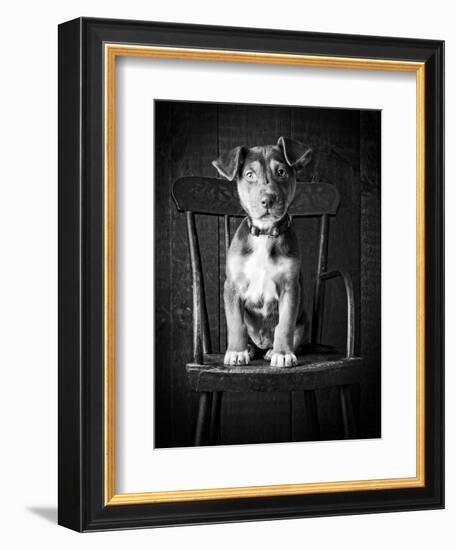 Mutt Black & White-Edward M. Fielding-Framed Photographic Print