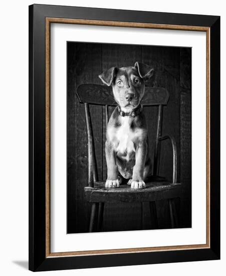 Mutt Black & White-Edward M. Fielding-Framed Photographic Print