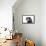 Mutt-Fabio Petroni-Framed Premier Image Canvas displayed on a wall