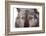 Mutt-Fabio Petroni-Framed Photographic Print