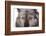 Mutt-Fabio Petroni-Framed Photographic Print