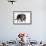 Mutt-Fabio Petroni-Framed Photographic Print displayed on a wall