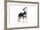 Mutt-Fabio Petroni-Framed Photographic Print